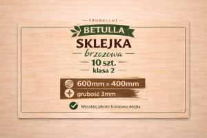 Sklejka 3mm brzozowa 600x400mm kl. 2 - 10szt.