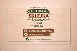 Sklejka 3mm brzozowa 600x400mm kl.1/2 - 10szt.