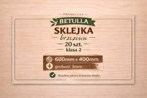 Sklejka 3mm brzozowa 600x400mm kl.2 - 20szt.