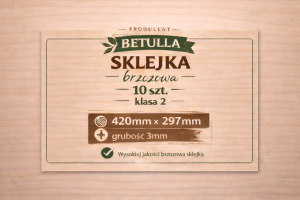 Sklejka 3mm brzozowa A3 420x297mm kl. 2 - 10szt.