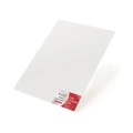 plexi_bi_(1).jpg